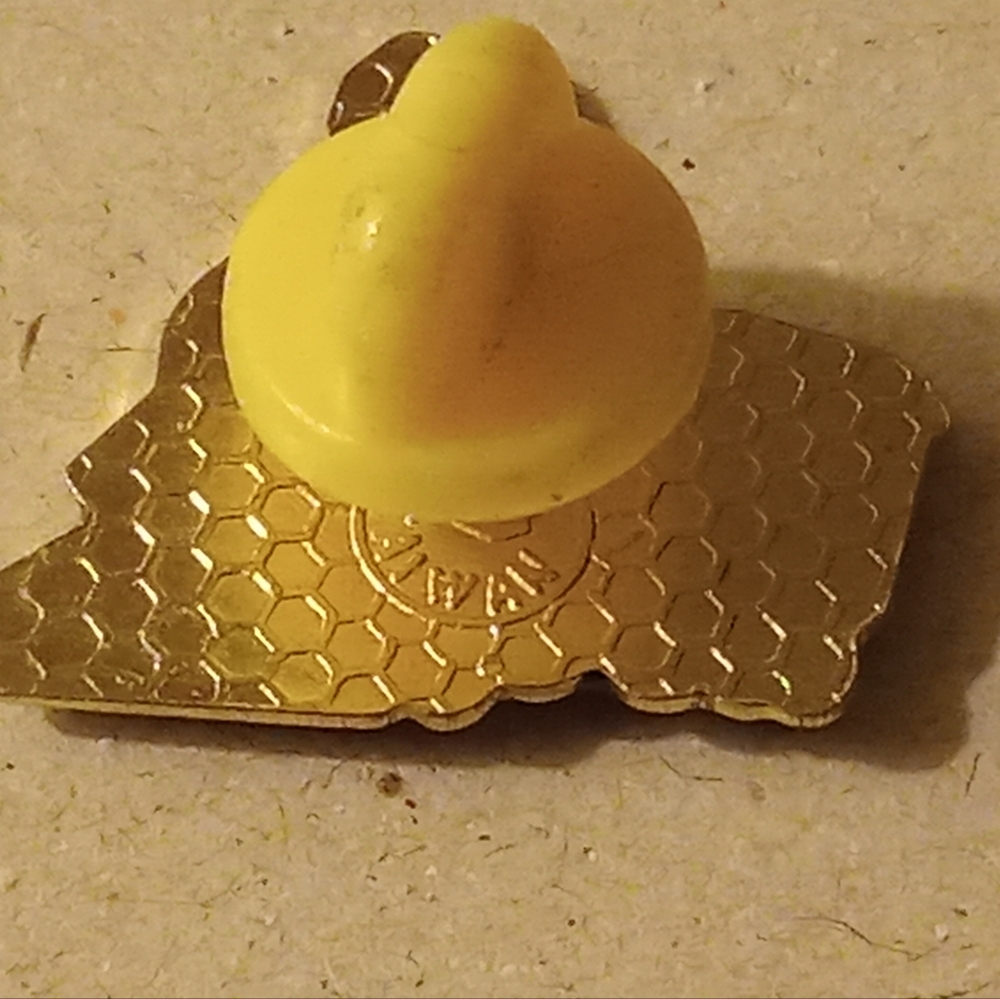 Steam Engine Train Pin - Picture 4 of 9